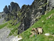 56 In salita al Ponteranica sotto le dirupate pareti del Valletto